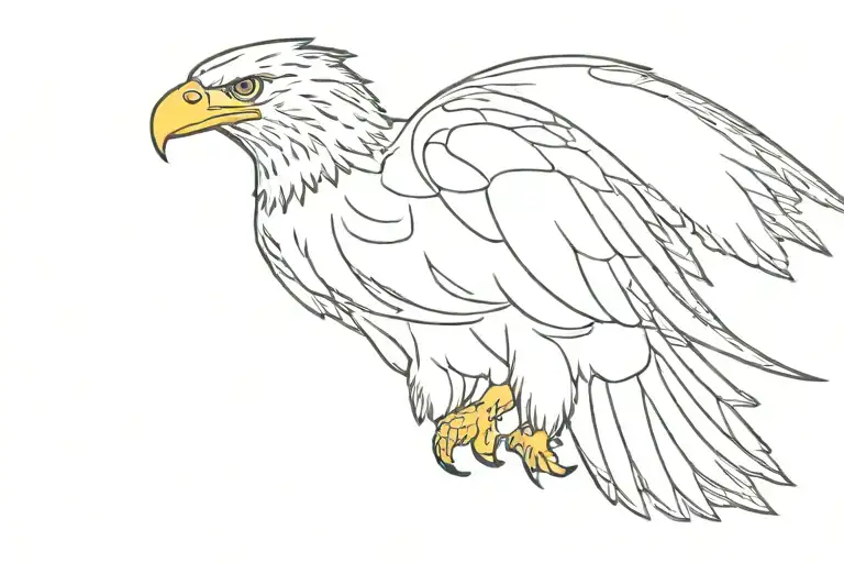 Eagle Shape Outline Flying Full Body Shaped Like