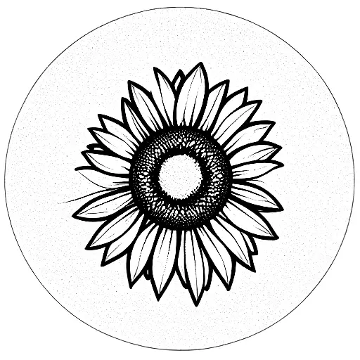 A Sunflower With A Vinyl Disc Behind It