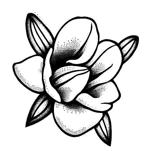 Lily Of The Valley Flower