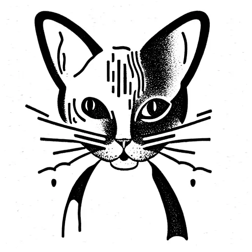 Hairless Cat Drinking Beer