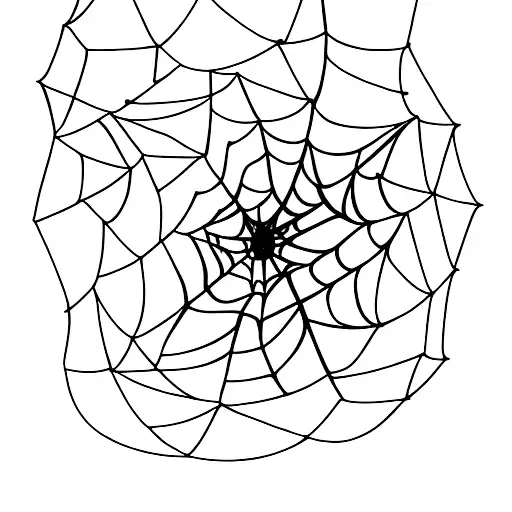 Spider Making A Web Rose