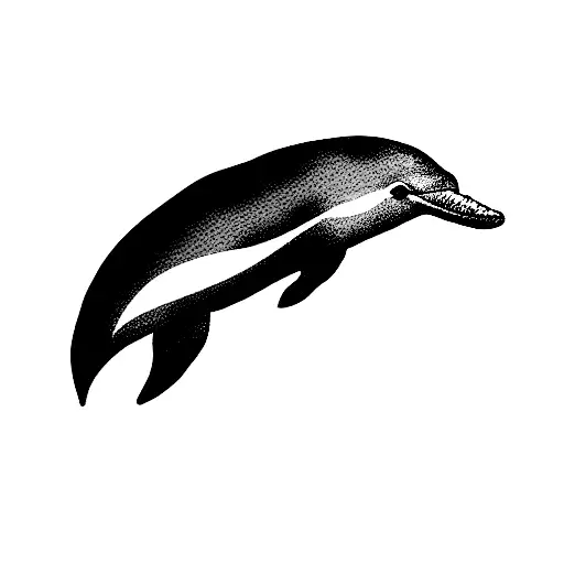 Dolphin With The Letter F And S