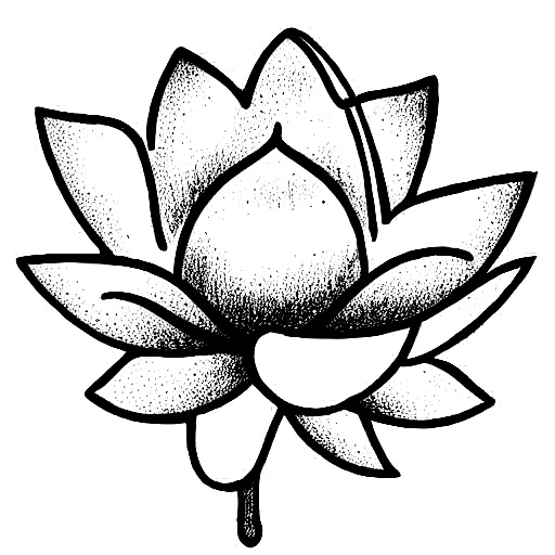 Lotus Flower With Robin