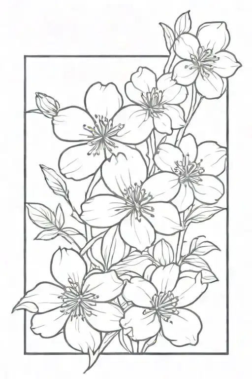 June Birth Flower With August Birth Flower With October Birth Flower