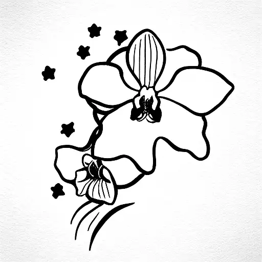 Orchid With Water Bearer And Stars