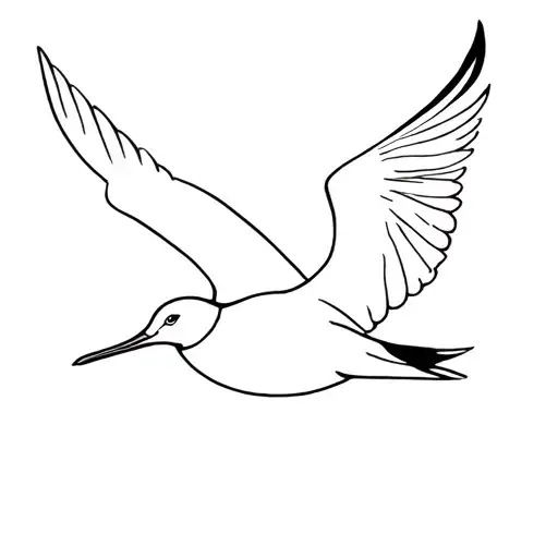 Albatross Bird That Flying Line Drawing