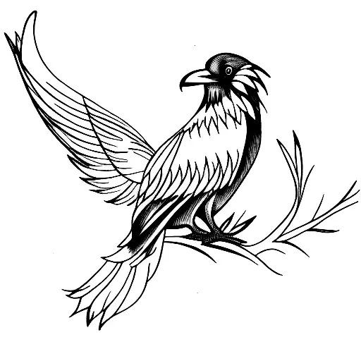 Fine Line Raven Perched On A Warped Tree Branch