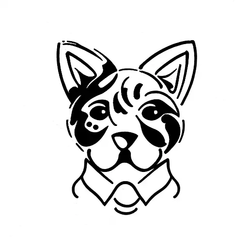 Cat And Toy Poodle Ears