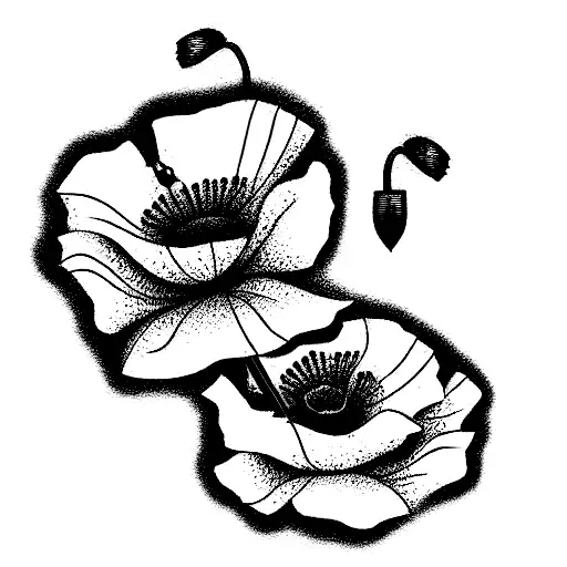 A Combination Of An Electric Guitar And Poppies