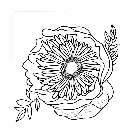 A Beautiful Aster Flower Blooming From An Open Book