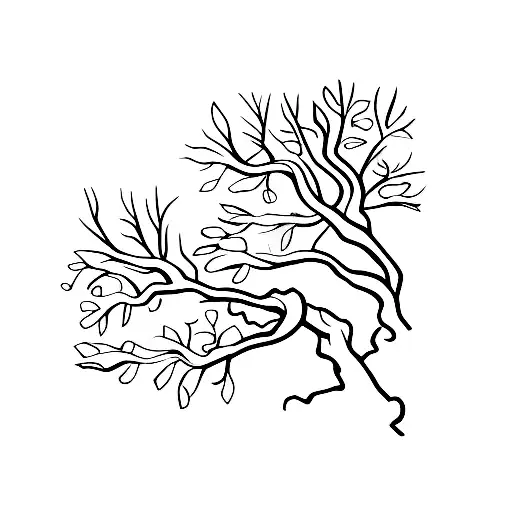 Sunrise With Oak Tree