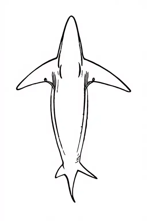 Fine Line Shark Without Face
