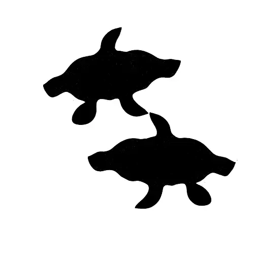 Turtle And Whale Around Eachother From The Side