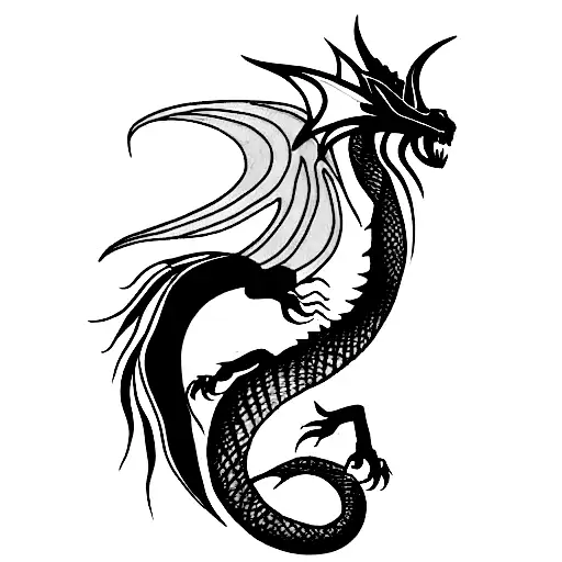 Feminine Dragon From Above