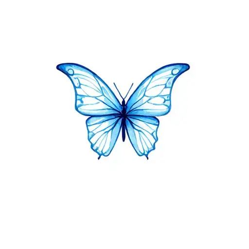 Ocean Blue Butterfly