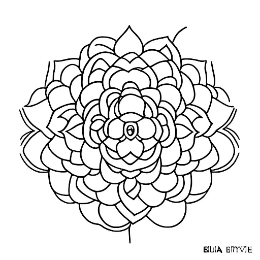 Flor De Lotus E As Fases Da Lua