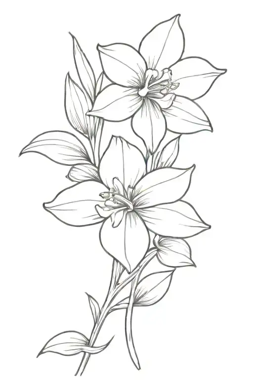 Daffodil Rose Morning Glory Flower