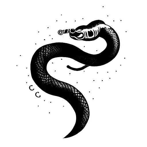 Snake Smoking A Cuban Cigar Facing Forwards With The Head Up