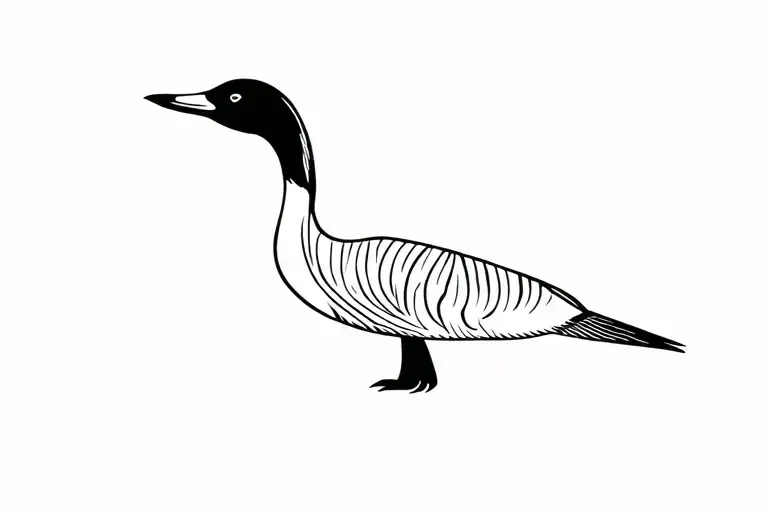 Loon Bird