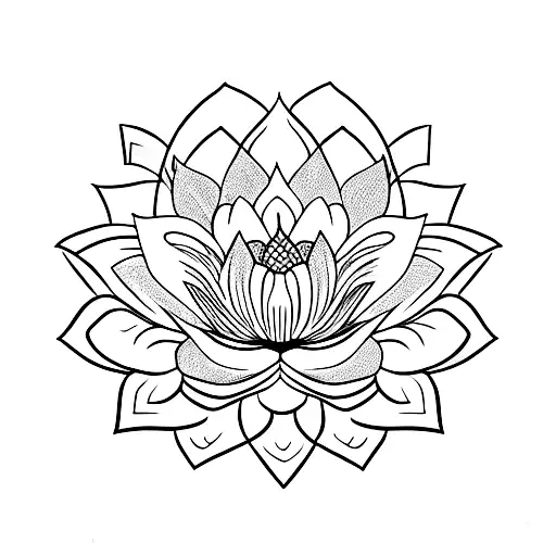 Lotus Flower Blooming From A Cracked Vase