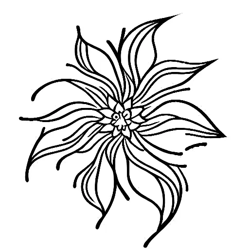 Fine Line Flower Vine