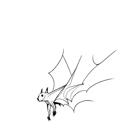 A Bat On A Black Background