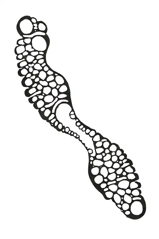 Footprint Trail Alternating Black And White Prints