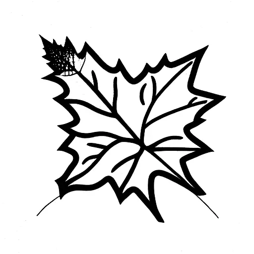 Maple Leaf