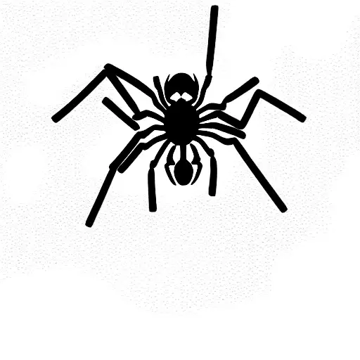 Spider With 12 Legs Caught By A Chain