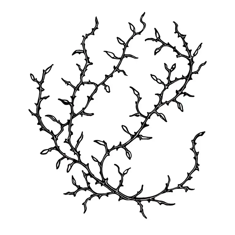 Loose Thorn Vines