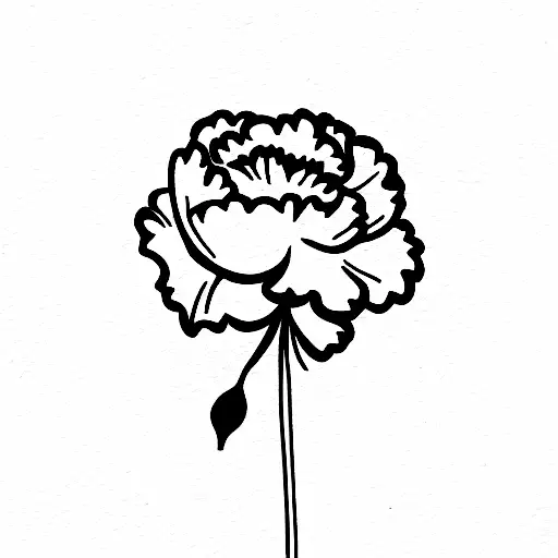 Carnation With Only Straight Black Lines