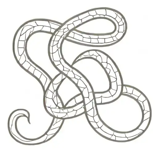 Snake Coiling