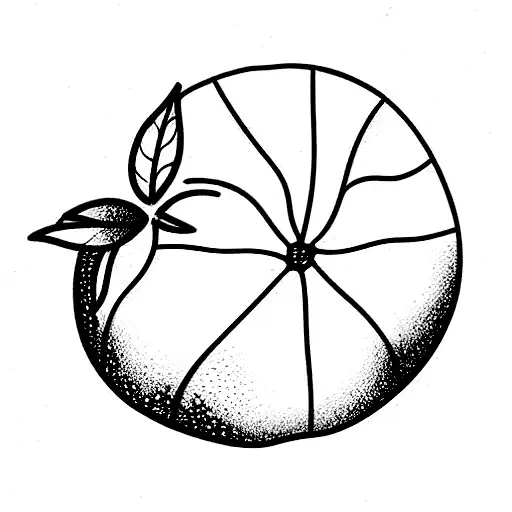 Blueberrys And Nature