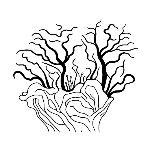 Dry Tree And Tree Roots Are Like Audio Waves