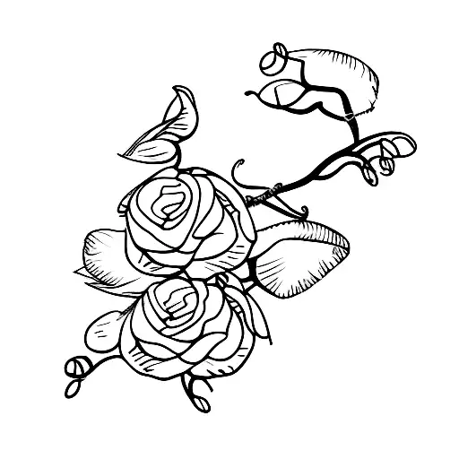 Delicate Orchid With Branch