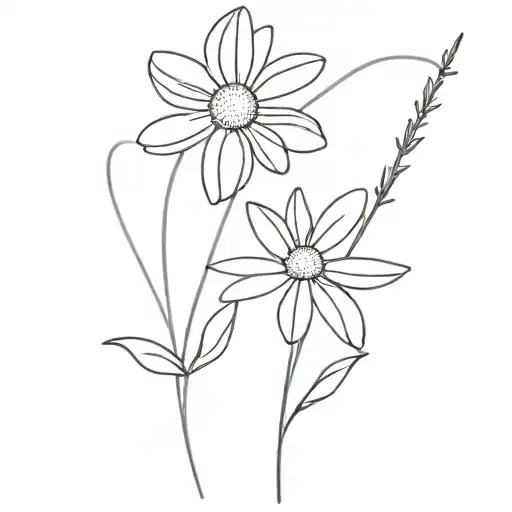 Daisy Flower
