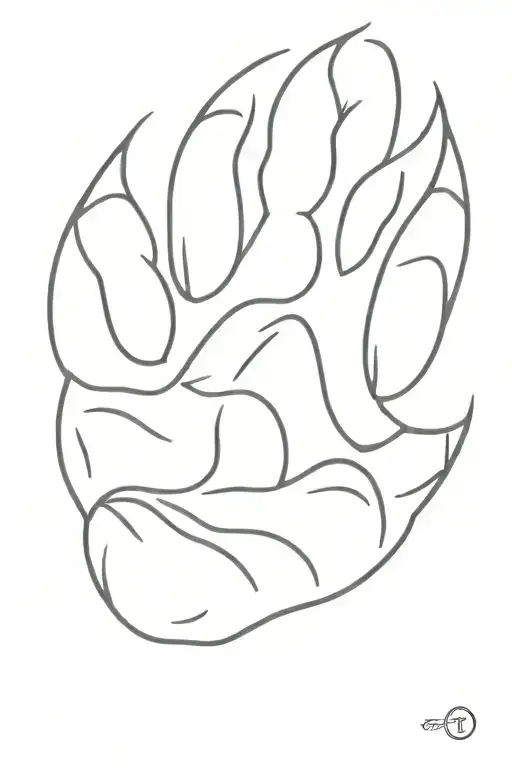 Bear Paw Print