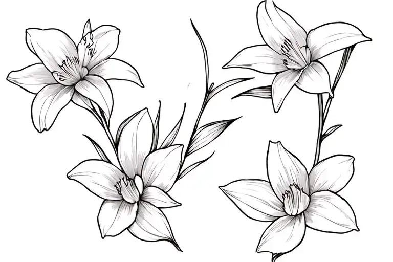 Gladiolus And Narcissus Intertwined Fine Line