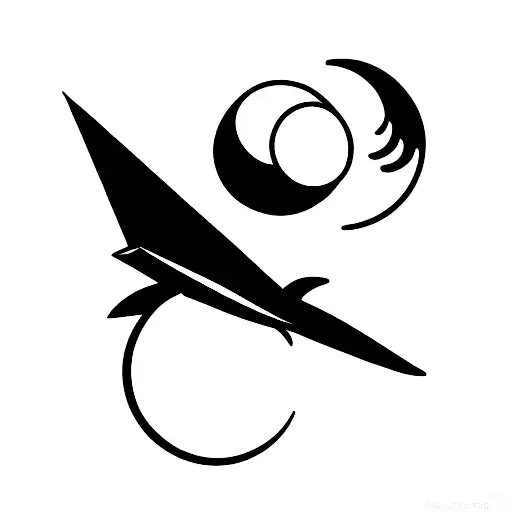 Turtle In A Paper Plane With Wine And Chips Looking At The Moon