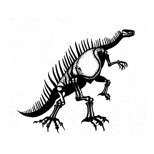 Skeleton Of Dinosaur