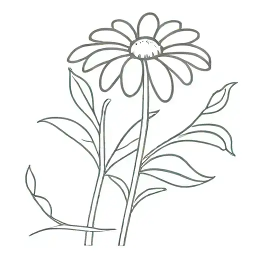 Minimalist Daisy With Stem And 14 Petals