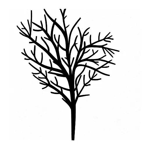 Tree Branch Wrapping Around Forearm Less Branches And Longer