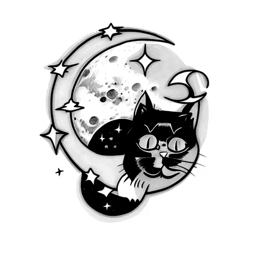 A Cat On The Moon