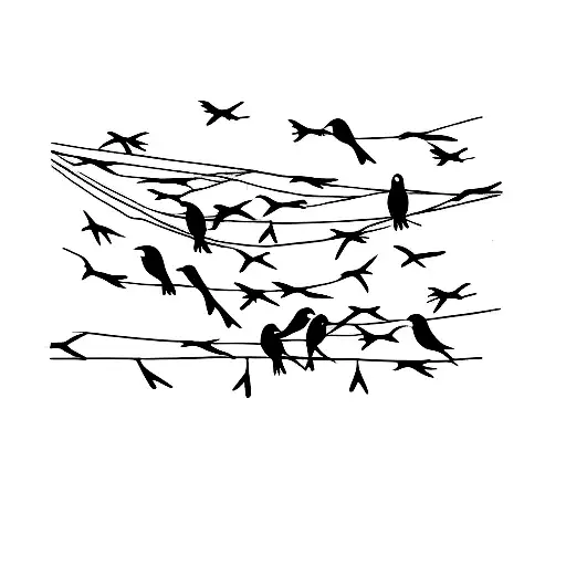 Small Black Birds Sitting On A Wire