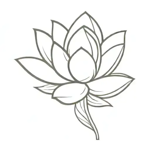 Lotus Flower Emerging