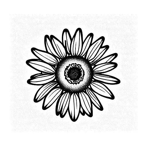 Daisy With Sunflower With The Intertwined Stem