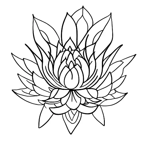 Lotus Flower
