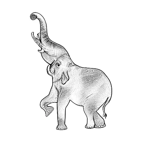An Elephant