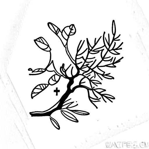 Young Juniper Tree Inside A Small Stamp