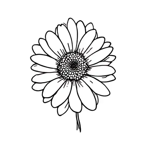 Gerber Daisy